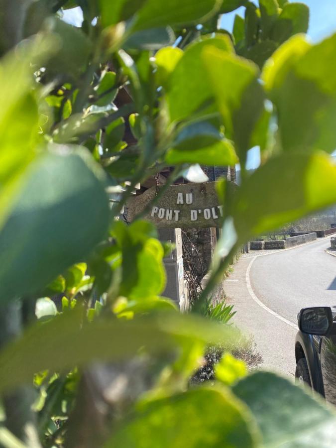 Hotel Au Pont D'Olt Saint-Côme-dʼOlt Zewnętrze zdjęcie